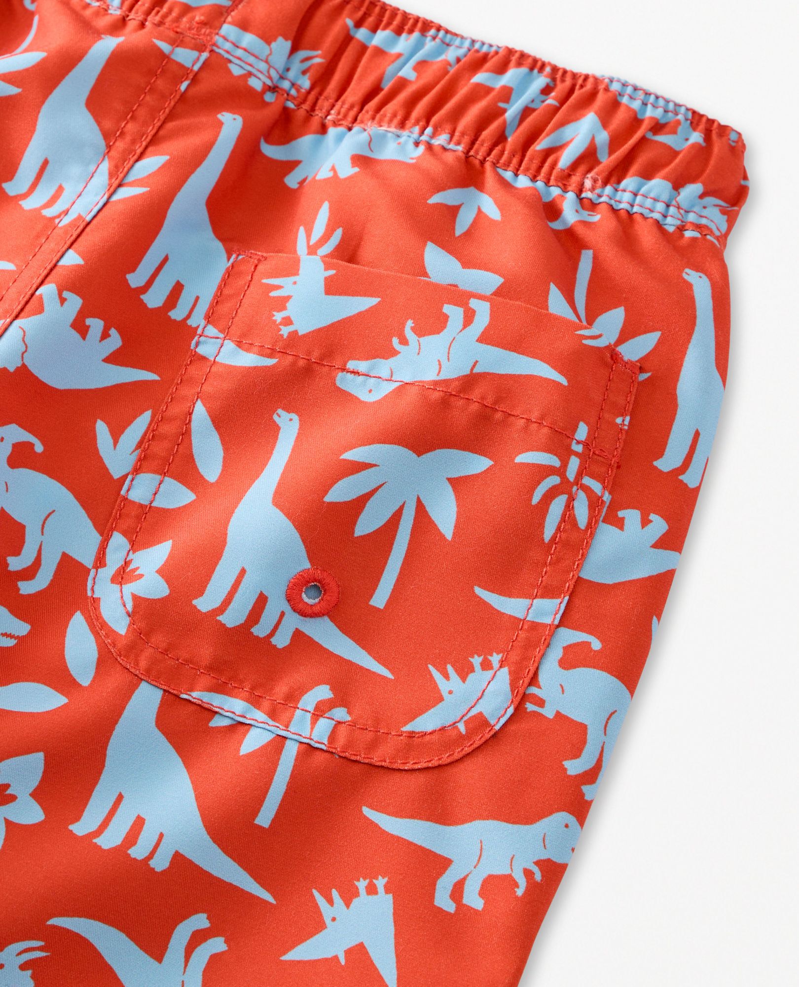 Swim Trunks