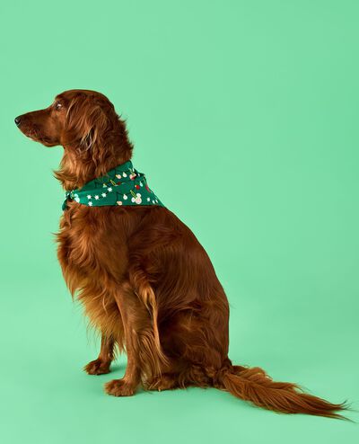 Disney Mickey Mouse Holiday Flannel Dog Bandana in Mickey Garland - main