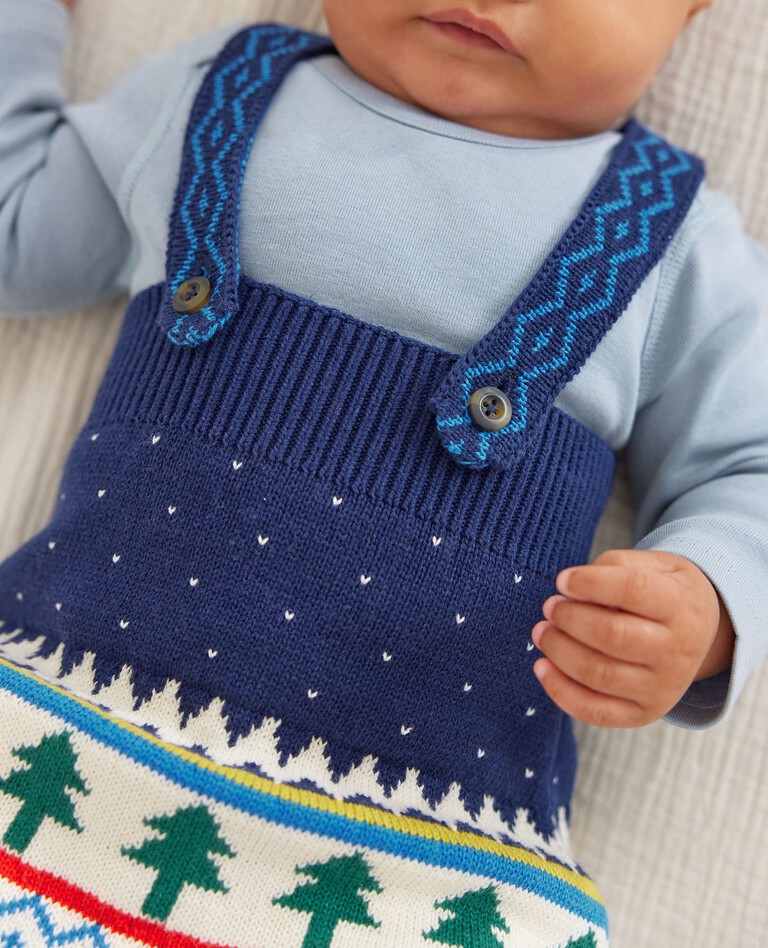 Baby Holiday Sweater Dress in Winter Solstice - main