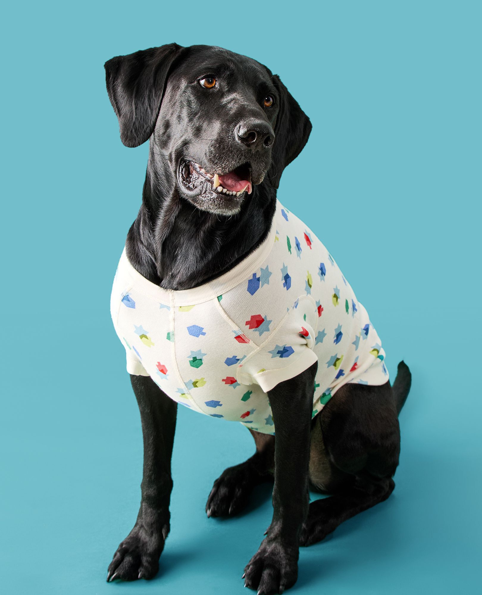 Holiday Dog Pajamas in Dreidel Fun - main