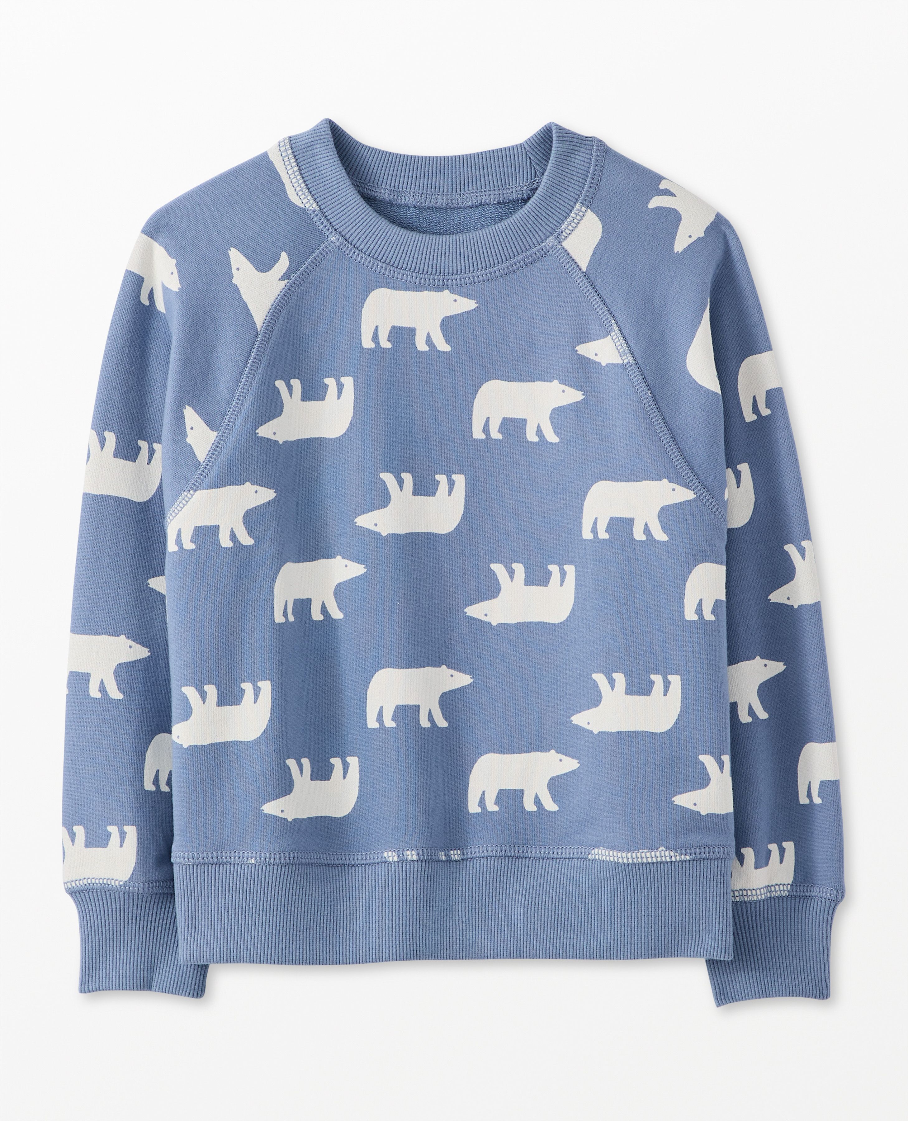Polar terry pullover best sale