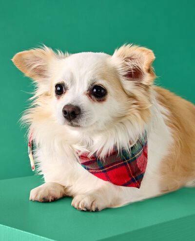 Flannel Dog Bandana in Red Holiday Plaid - main