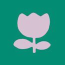 HannaJams™ Pajama Set in Tossed Tulips on Green - swatch