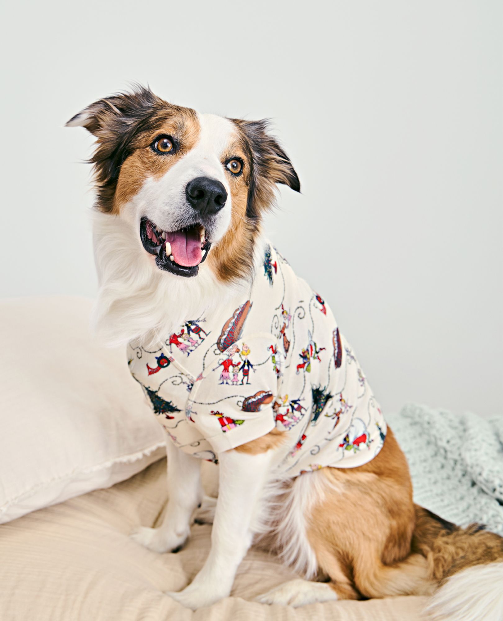 Bed bath and beyond dog pajamas online