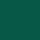 Long-Sleeve Slim Fit Ribbed T-Shirt in Malachite - swatch