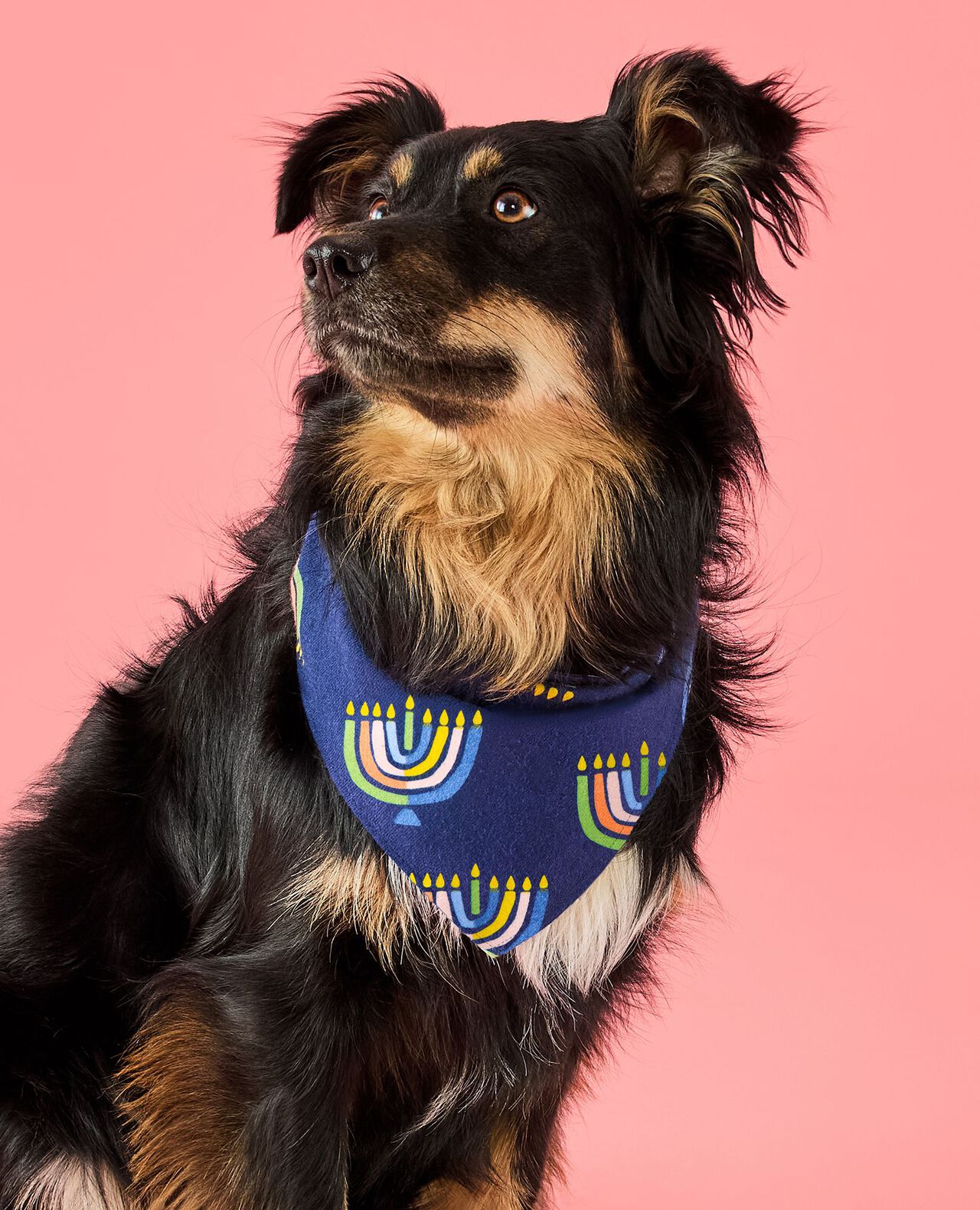 Holiday Flannel Dog Bandana in Multi Menorahs - main