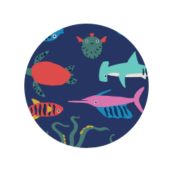 sharks & sea creatures