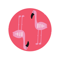 flamingo print