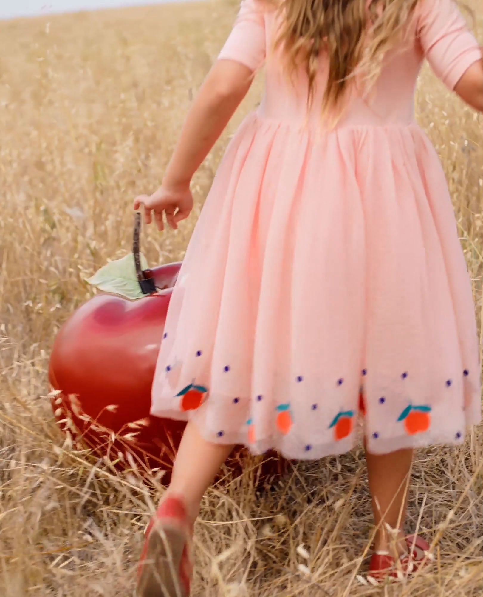 Video of child wearing Embroidered Tulle Dress